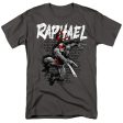 TEENAGE MUTANT NINJA TURTLES : TMNT RAPHAEL S\S ADULT 100% COTTON 18\1 T-SHIRT Charcoal 5X Sale