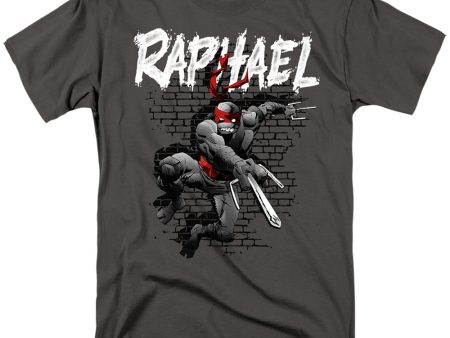 TEENAGE MUTANT NINJA TURTLES : TMNT RAPHAEL S\S ADULT 100% COTTON 18\1 T-SHIRT Charcoal 5X Sale